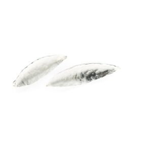 PENDIENTES HOJA PLATA PEQUEÑOS